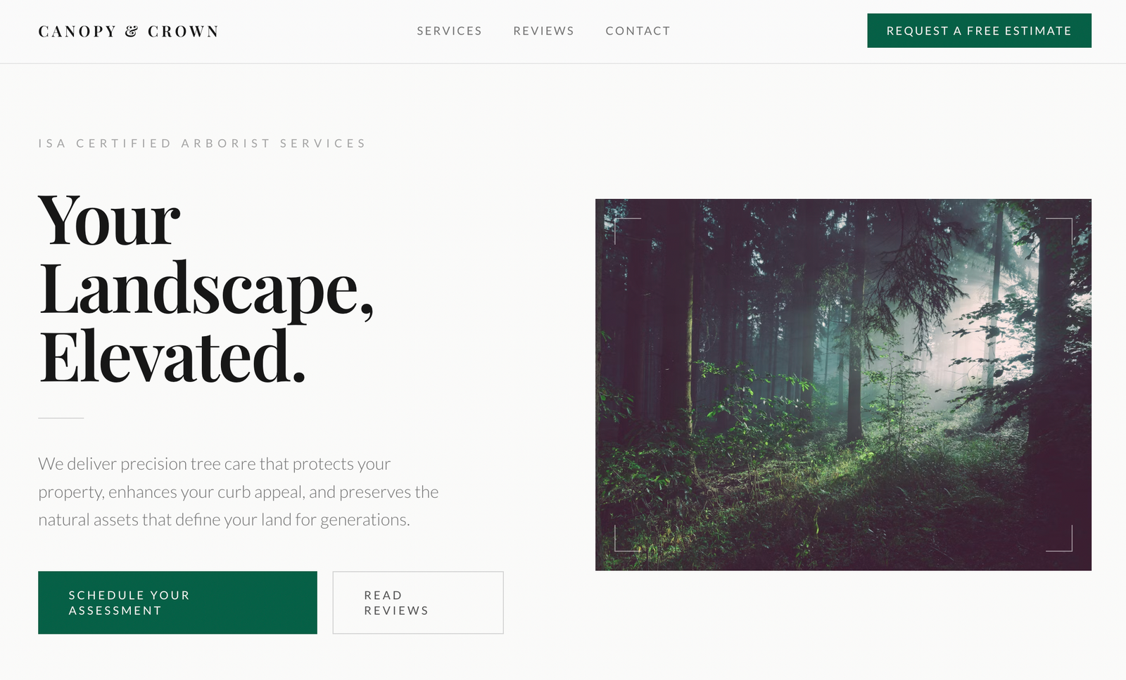 Evergreen Tree Care